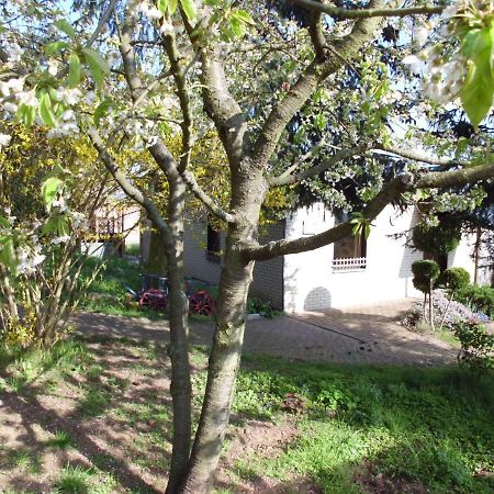 Ferienhaus Santo Villa Nordhausen Exterior foto